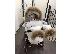 PoulaTo: Stokke Xplory V4